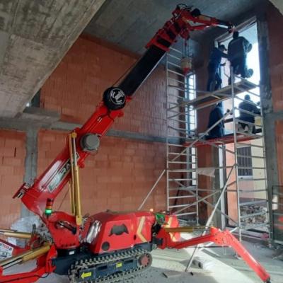 Mini żuraw gąsienicowy