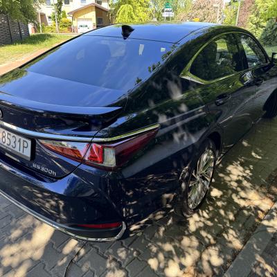 Lexus ES 300h Omotenashi