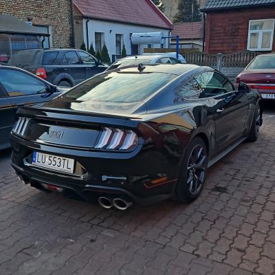 CESJA Mustang MACH - 1 2022